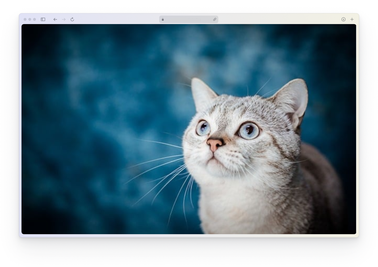 Page background image example